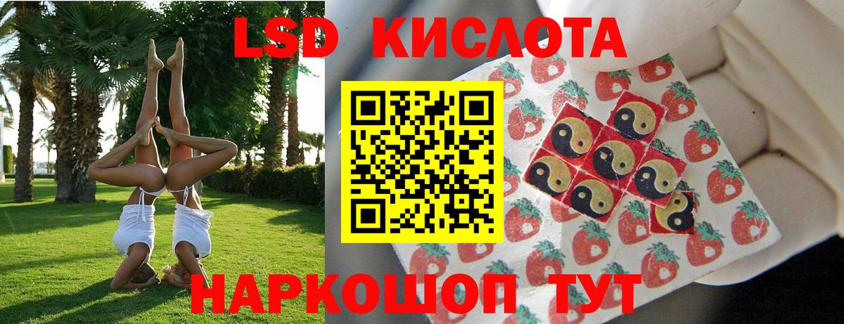 Наркотические марки 1,8мг  Вход с VPN  Знаменск  Наркотические марки 1,8мг 