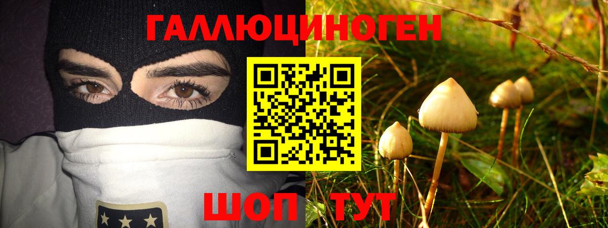 Знаменск  Псилоцибиновые грибы мицелий  Вход с VPN 